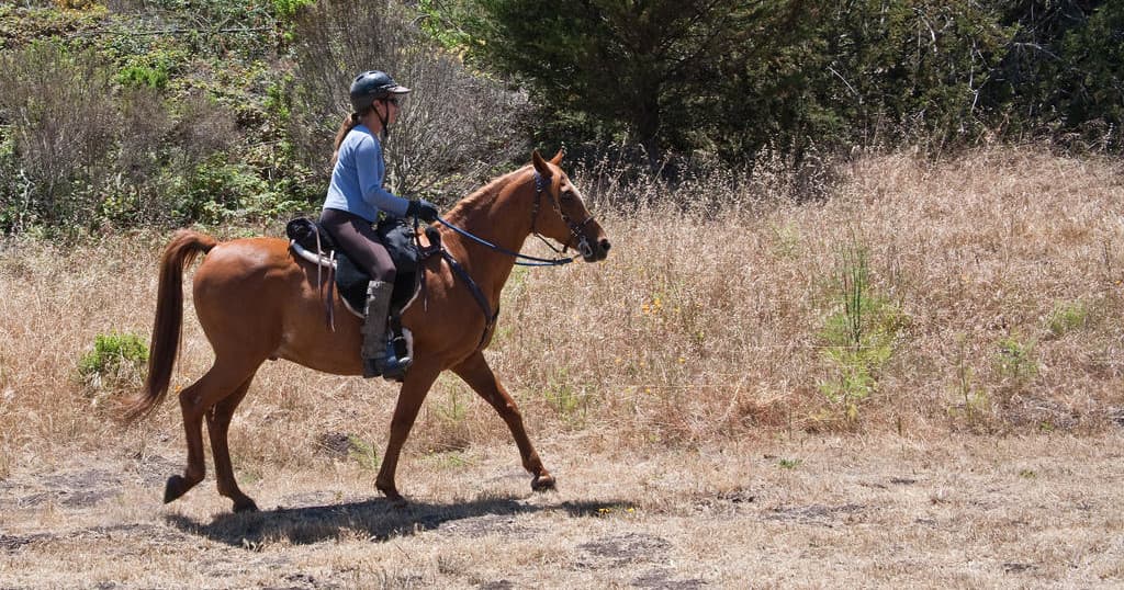 Solo rider trotting across grassy hillside during guided trail ride