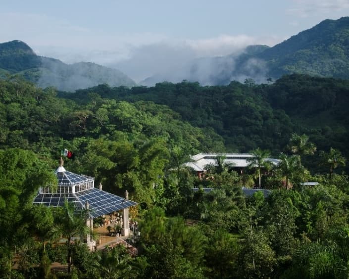 Immerse in Native Flora with PVR Tours’ Botanical Gardens Trip