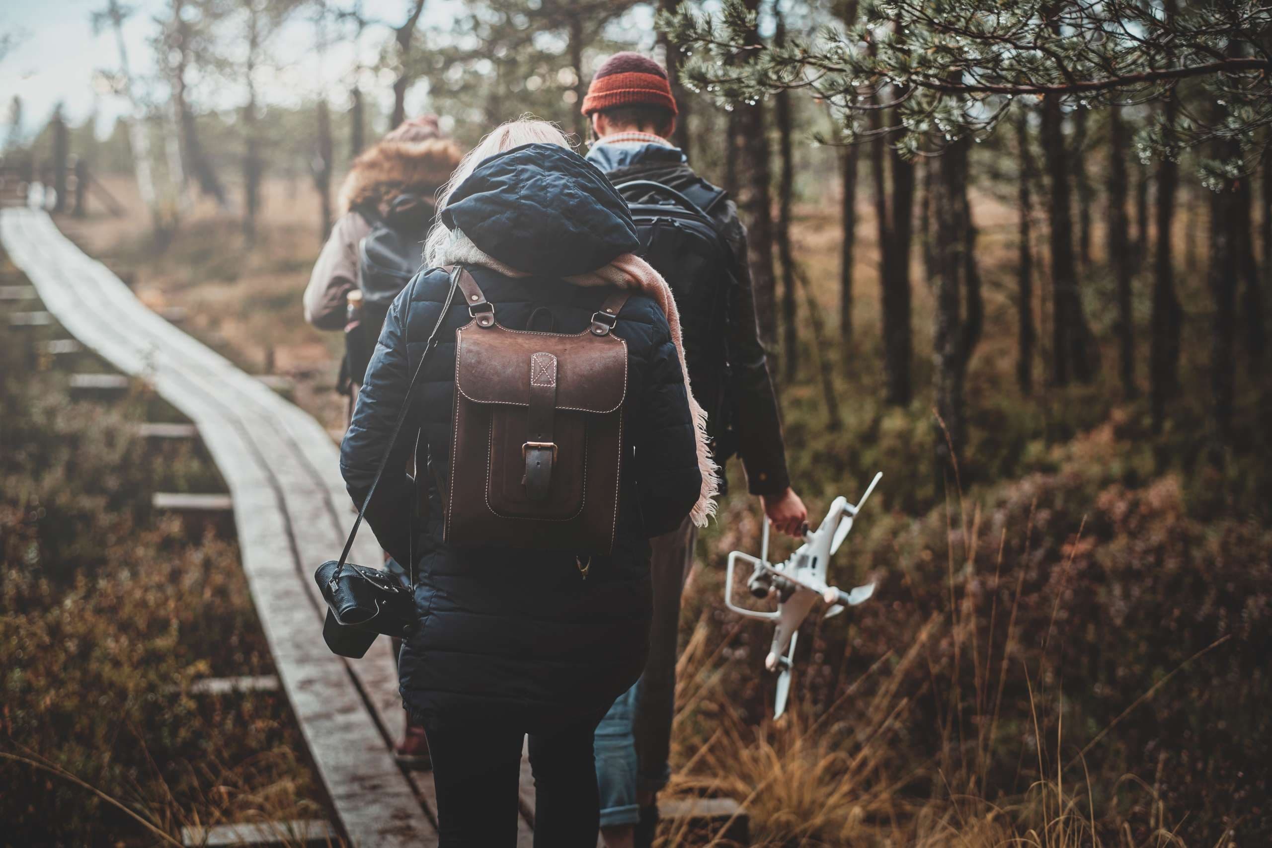 Backcountry hikers on boardwalk trail through mixed forest