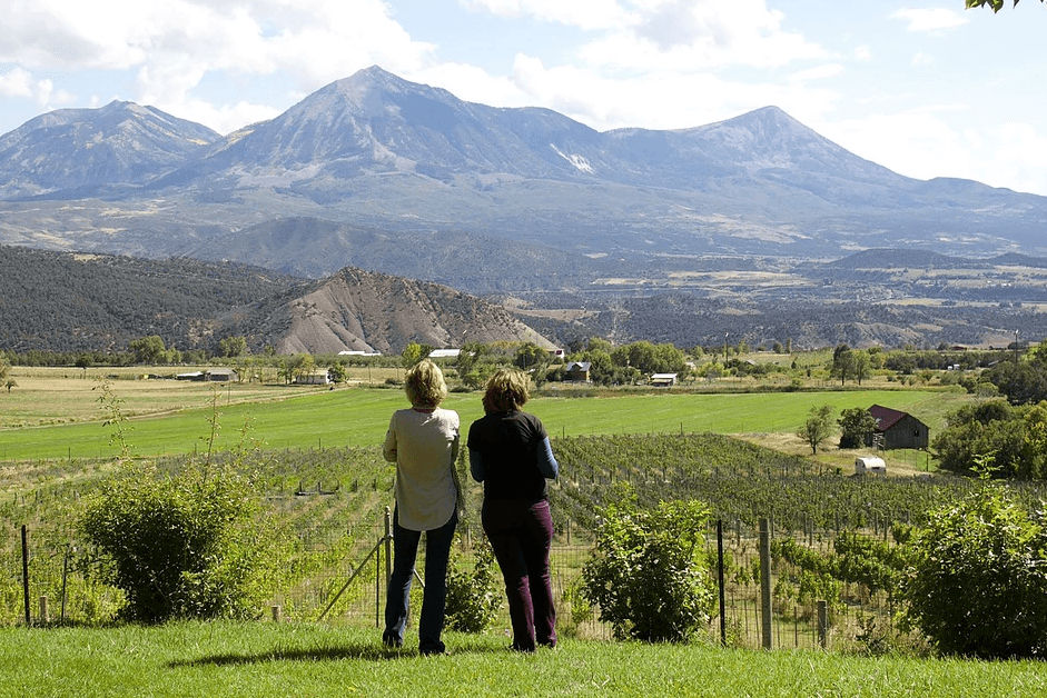 Hikers overlooking Crested Butte valley and mountain vista