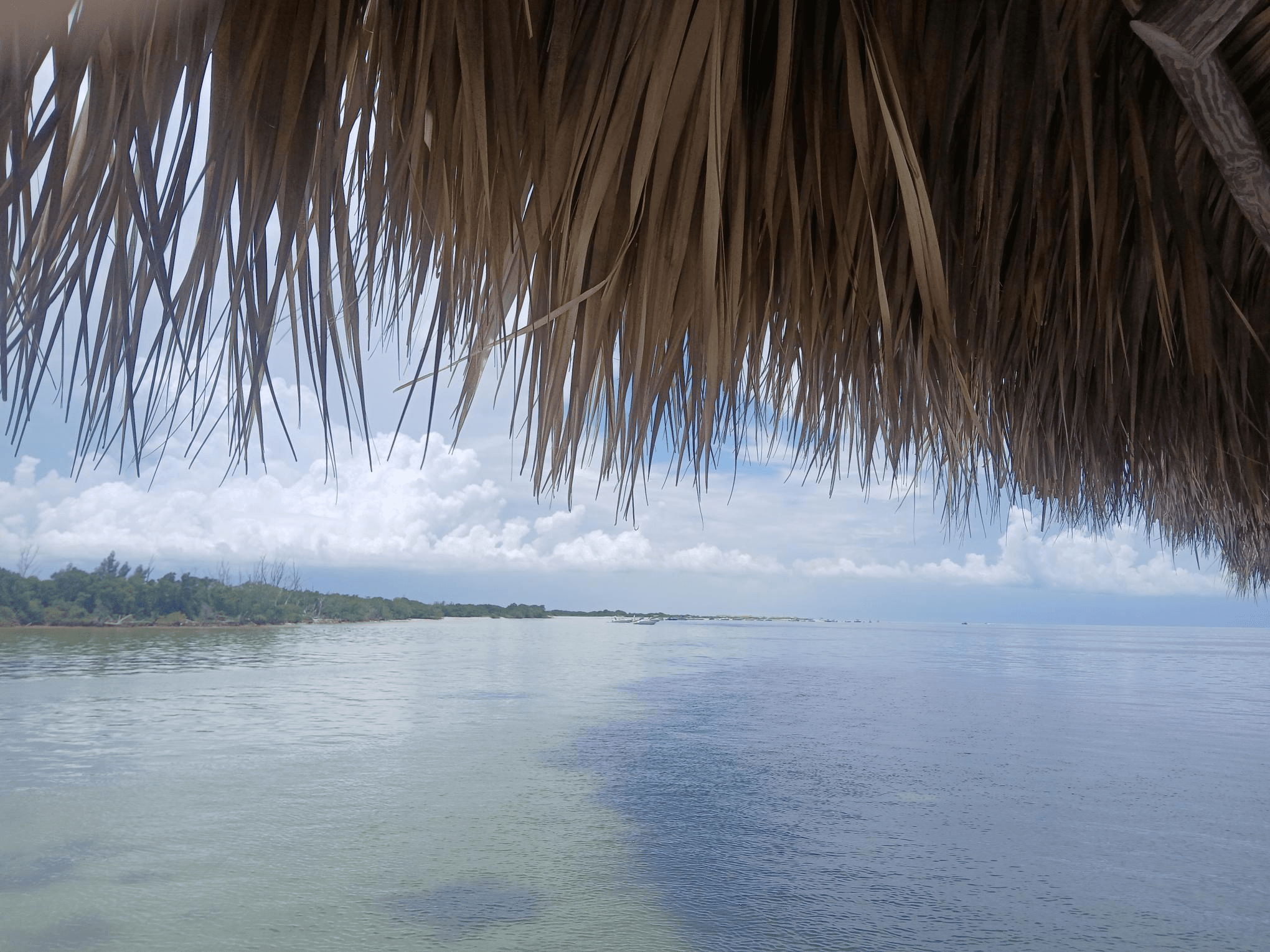 Tiki Sandbar Charter in Holiday, Florida: Private Gulf Island Getaway
