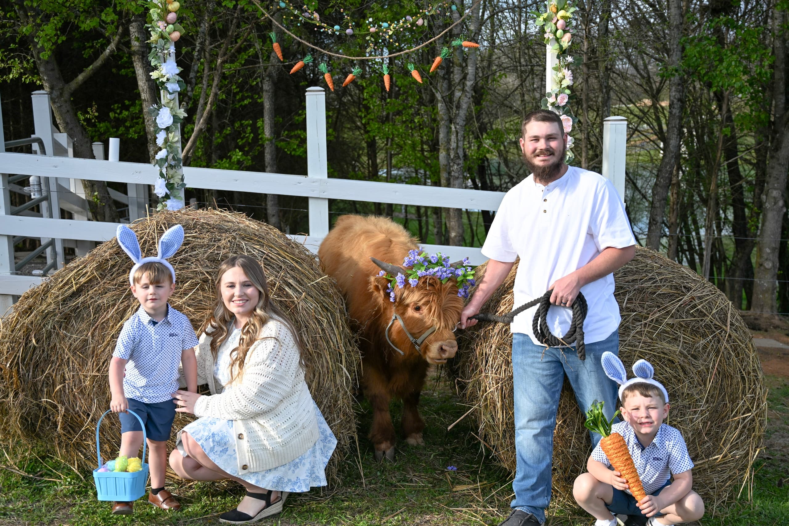 Spring Mini Sessions with Mini-Donkeys & Scottish Highland Cows at Cedar Pond Farms, New Market photo 2