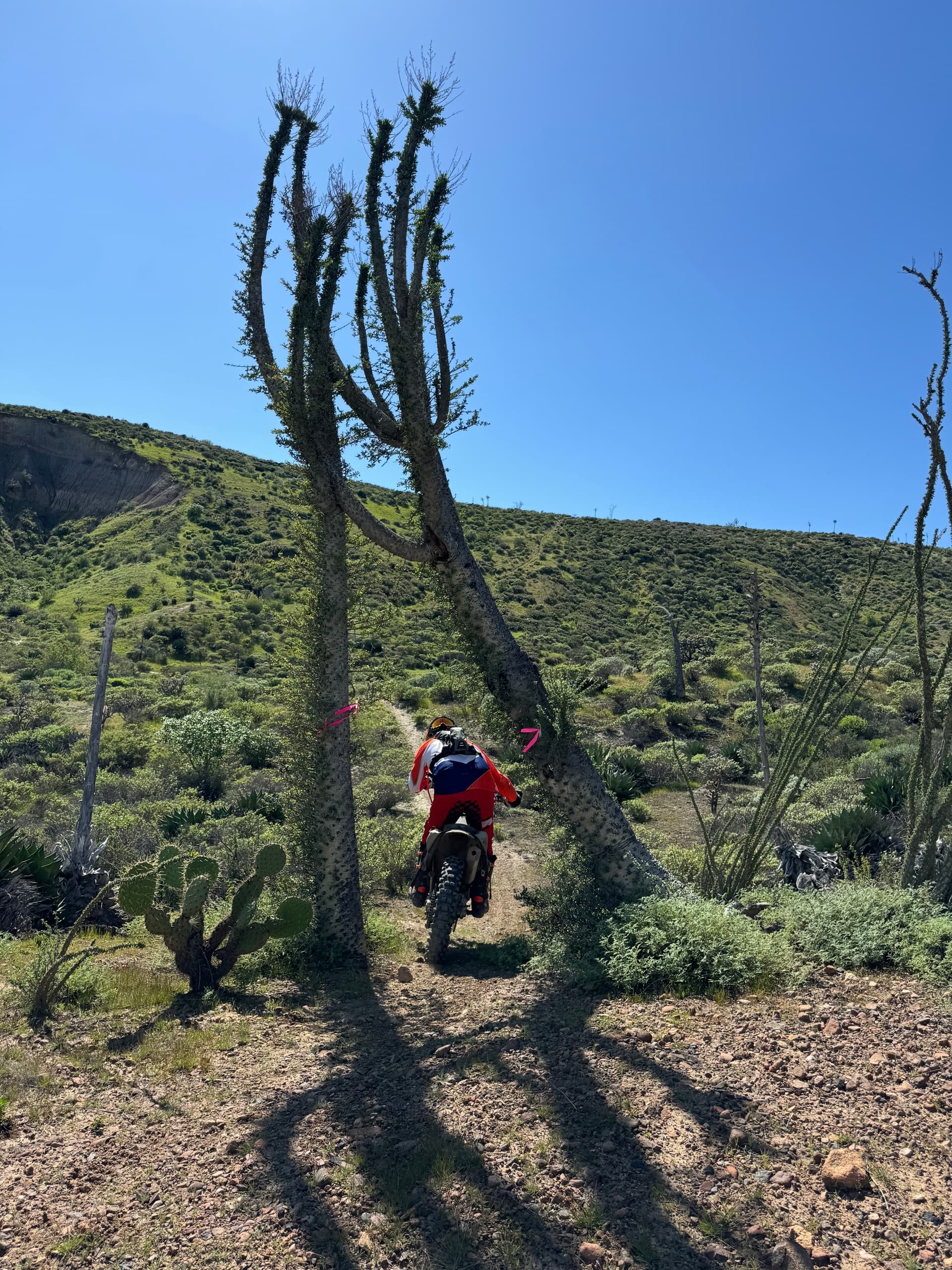 Baja Bound in Moab: Five Days of Slickrock, Skills, and Desert Riding photo 3