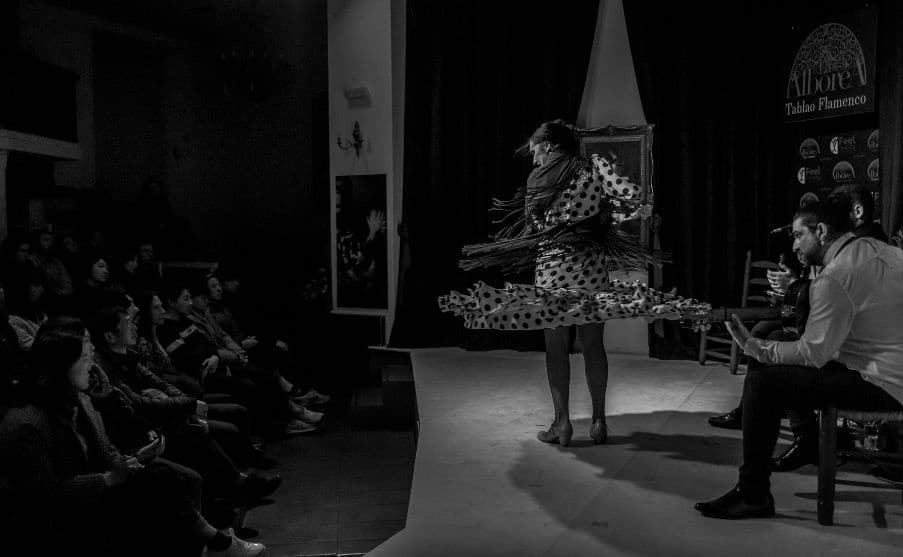 Land Adventure: Flamenco La Alboreá in Granada