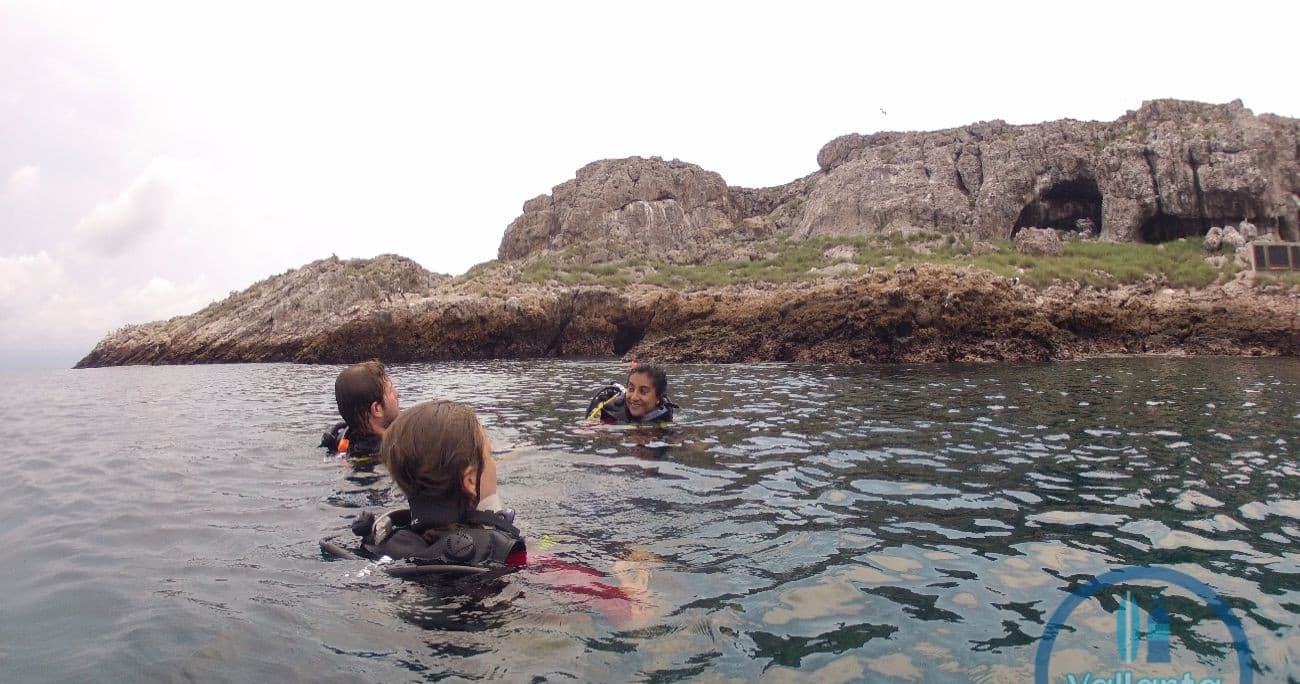 Open Water Dive Course with Vallarta Surf n' Dive School