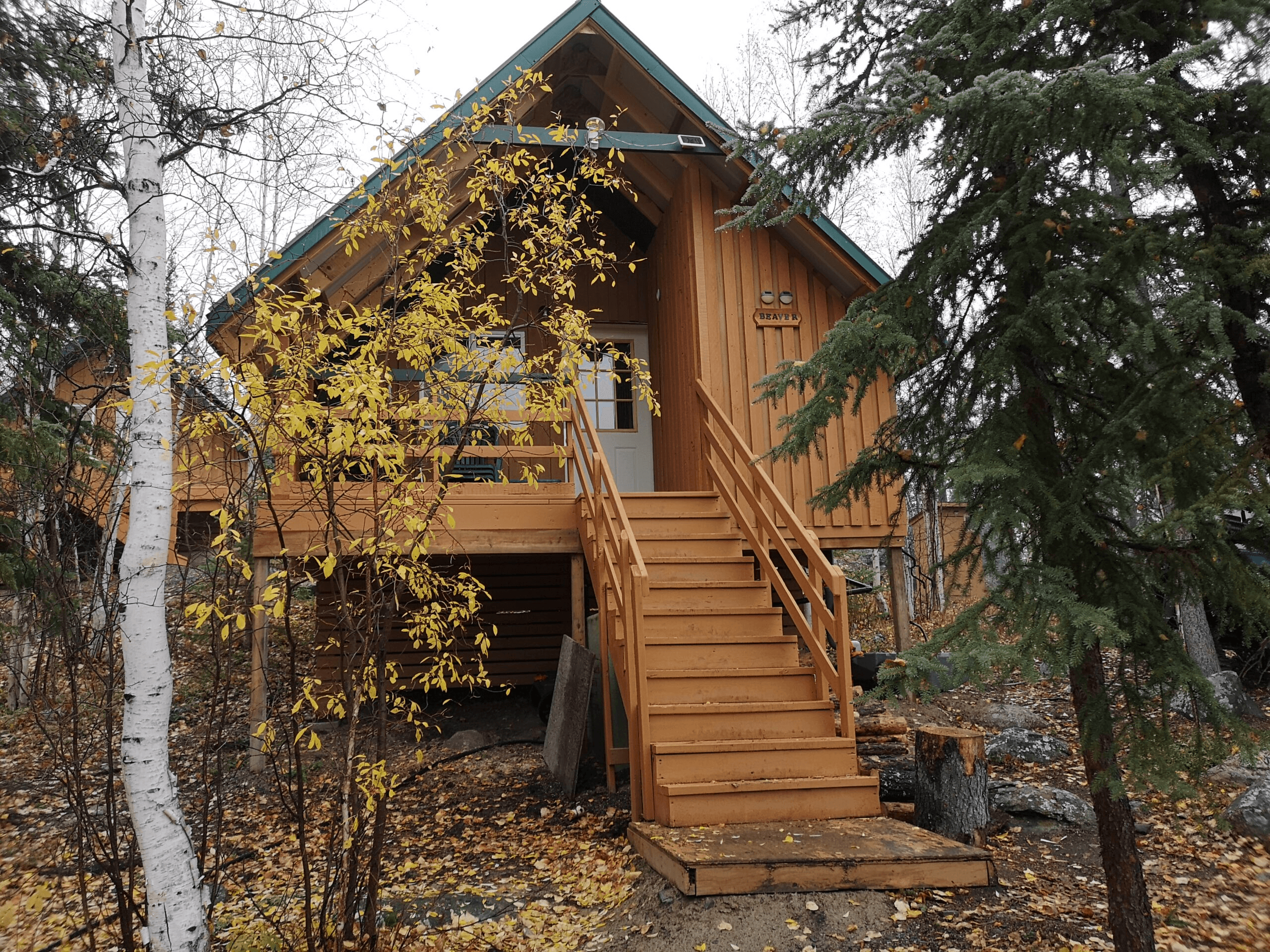 Private Cabin Getaway with Yellow Dog Lodge in Yellowknife