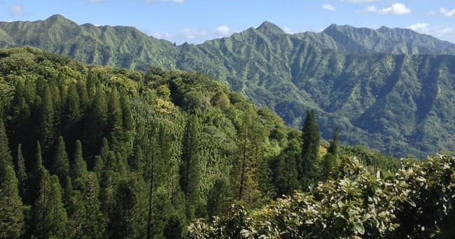 CTA Section Background Image