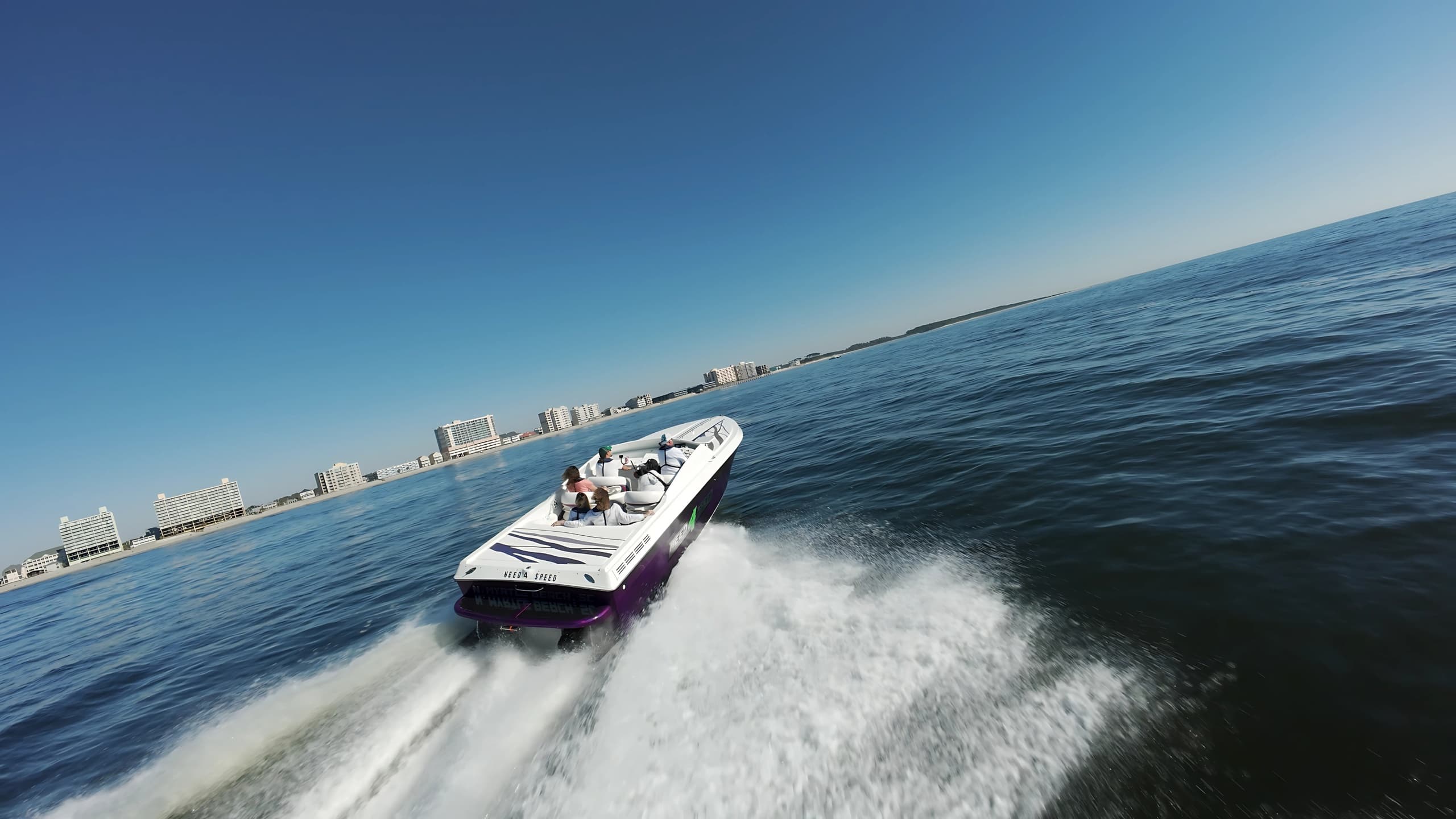 Southern Shores Island and Dolphin Cruises team