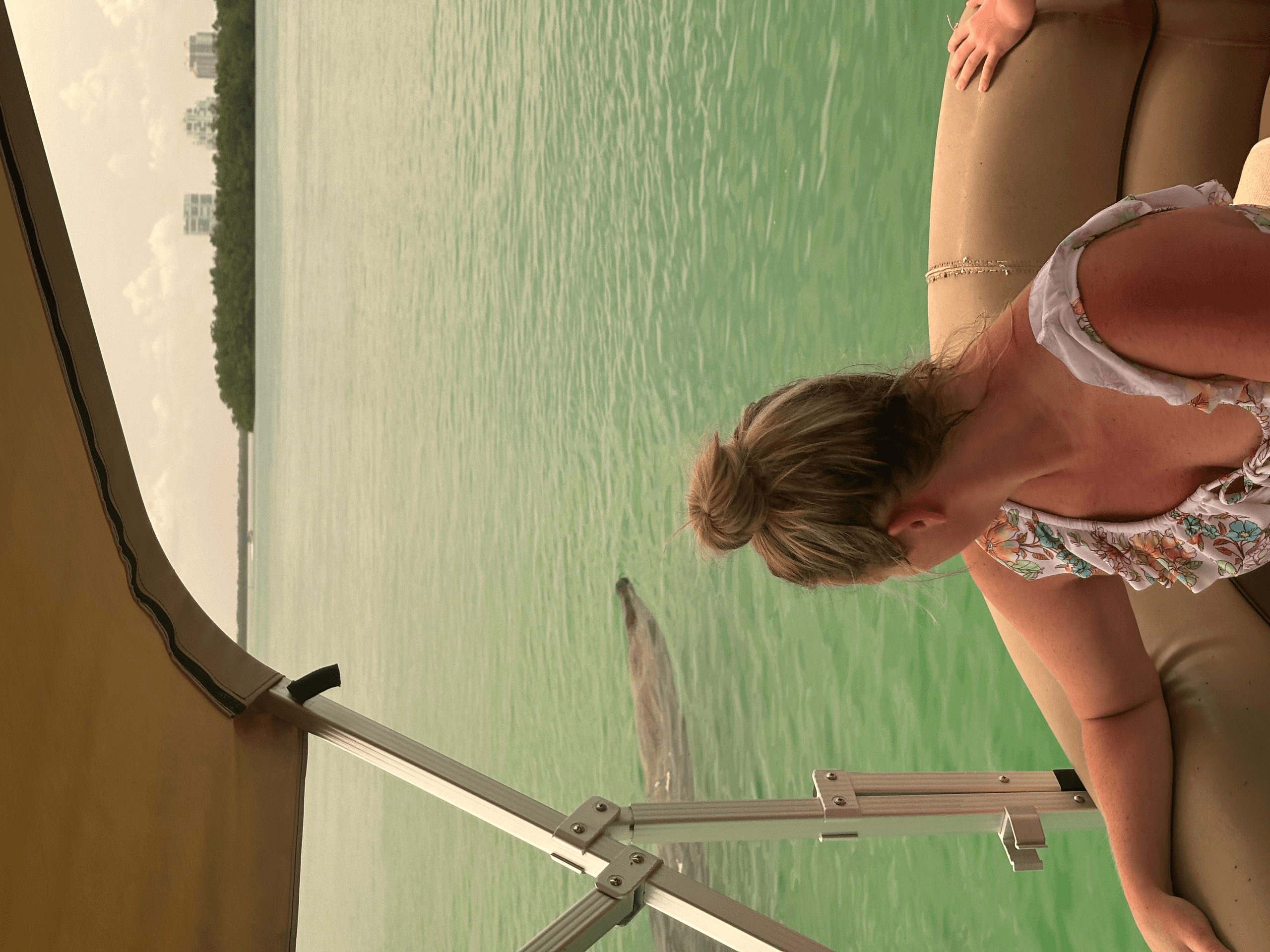Backbay Dolphin Cruise in Fort Myers Beach — 2-Hour Wildlife & Scenic Boat Trip photo 4
