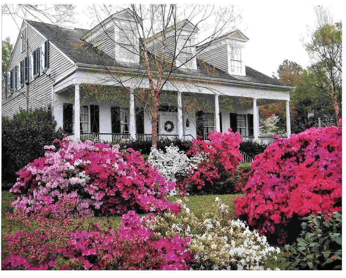 Historic Sightseeing & Victorian Charm at Myrtle Terrace
