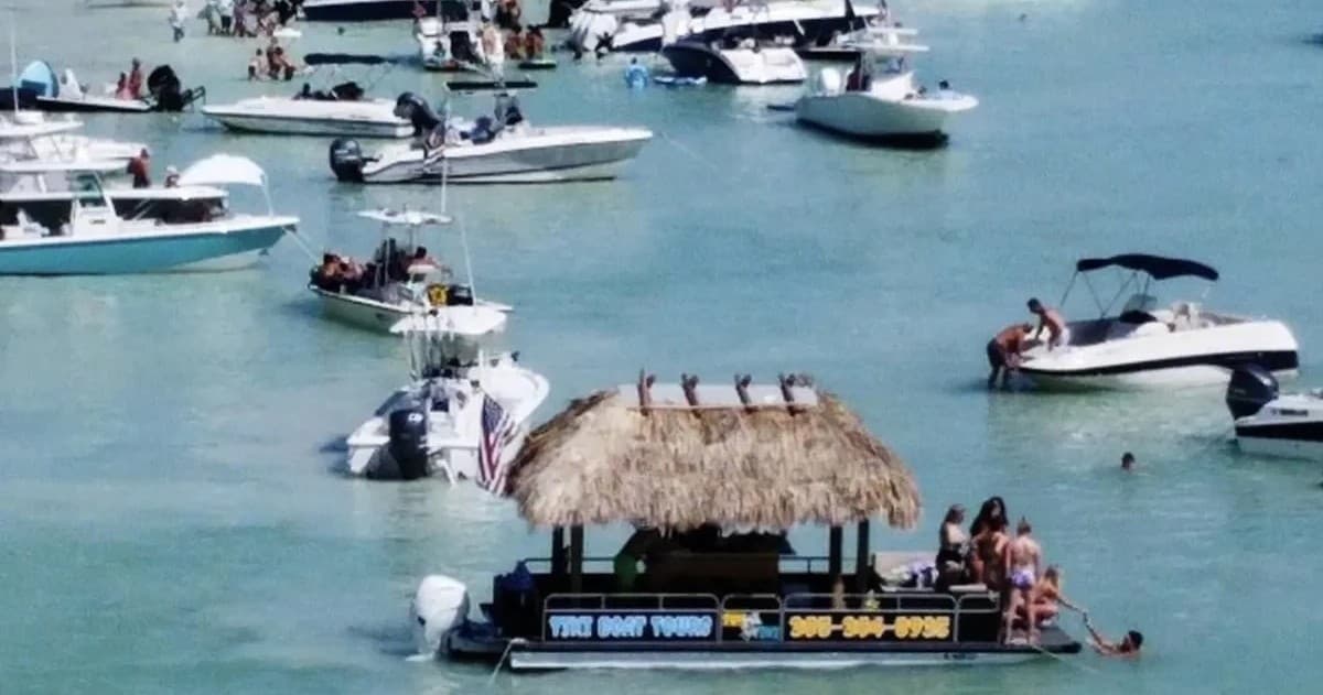 Water Activities: Private Sandbar Charter in Islamorada