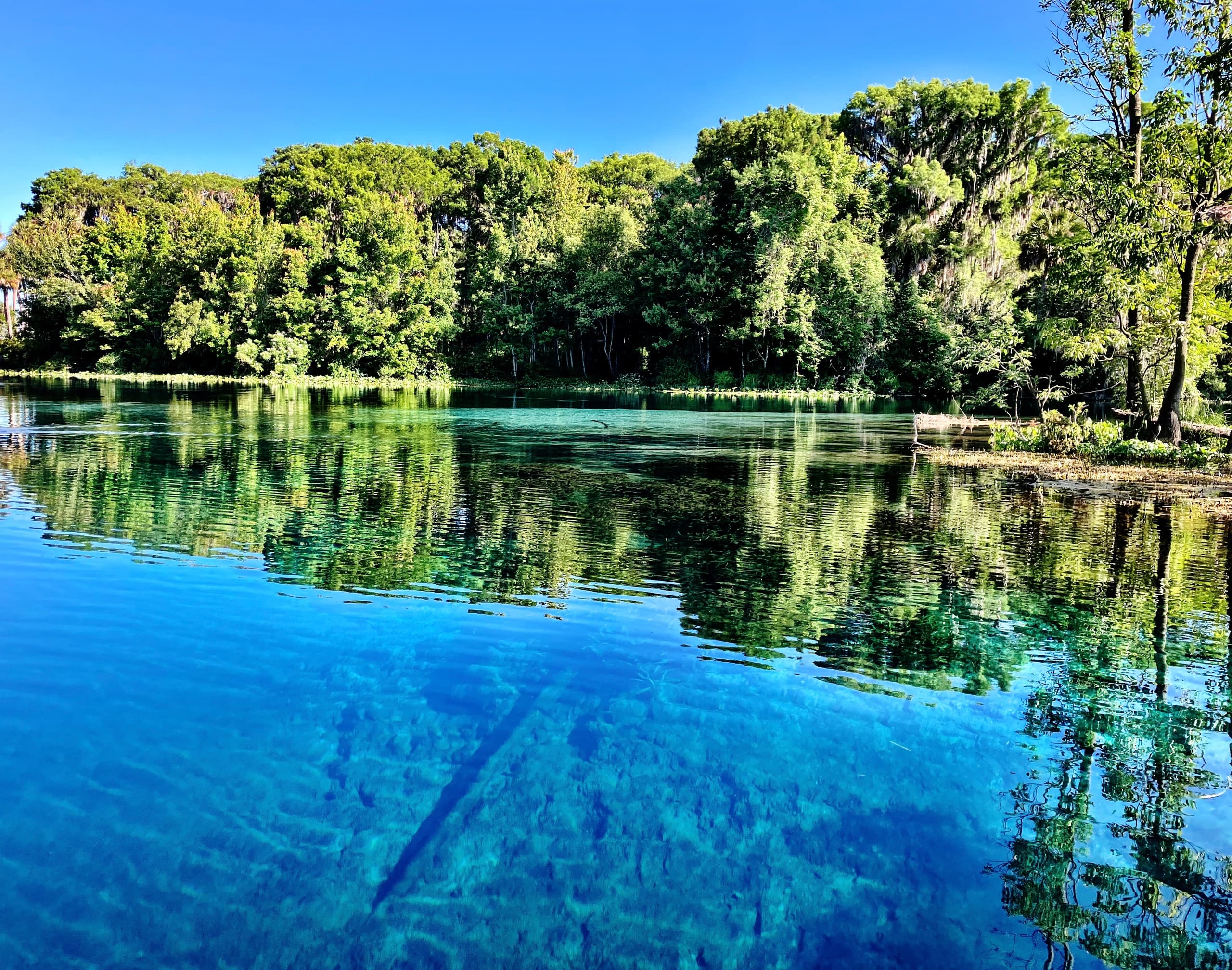 River Adventure with LiveWater Experiences in Silver Springs