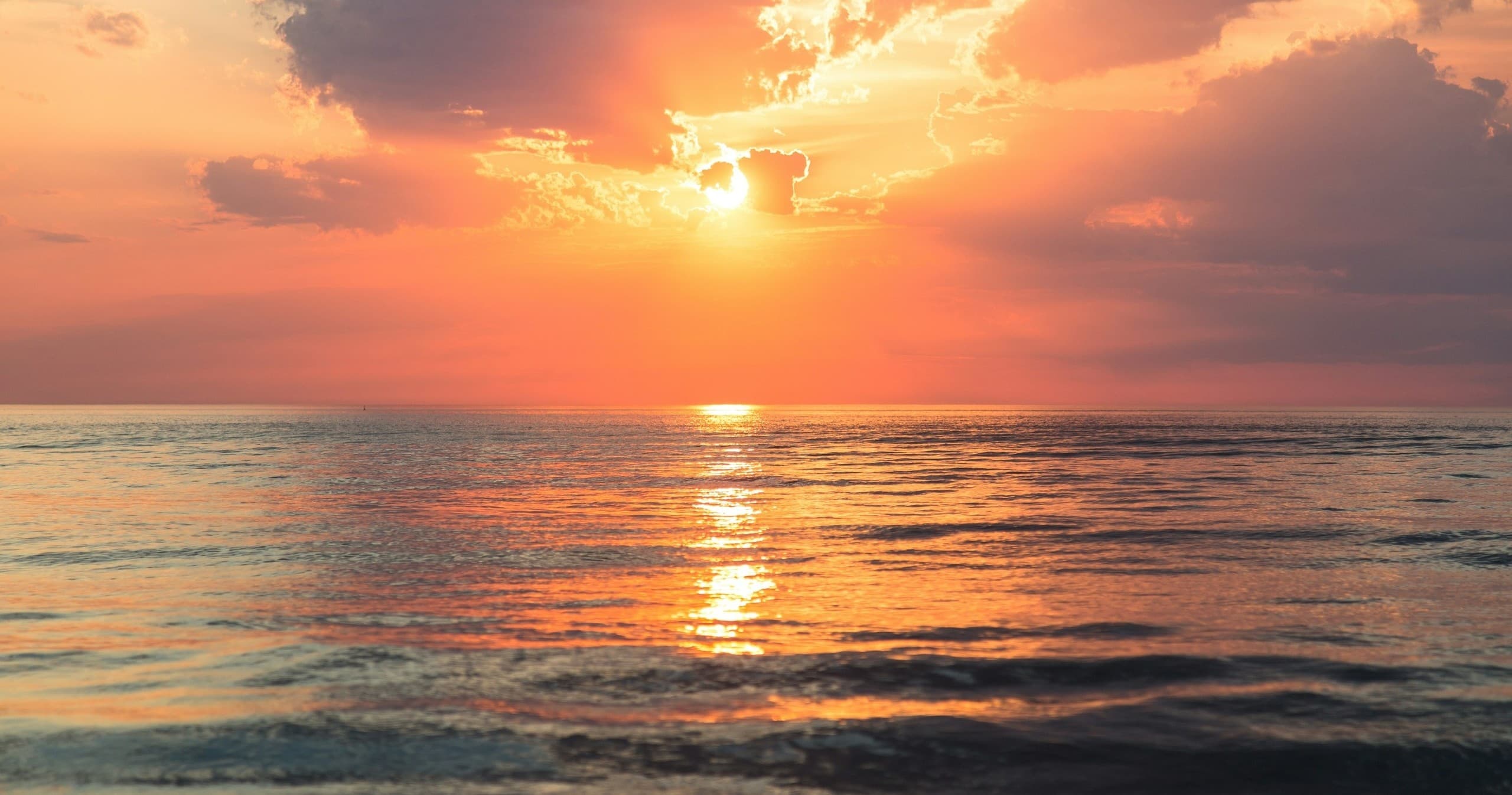 Sunset Sensation Tour at Sea Horse Scuba Diving Centre in Ibiza
