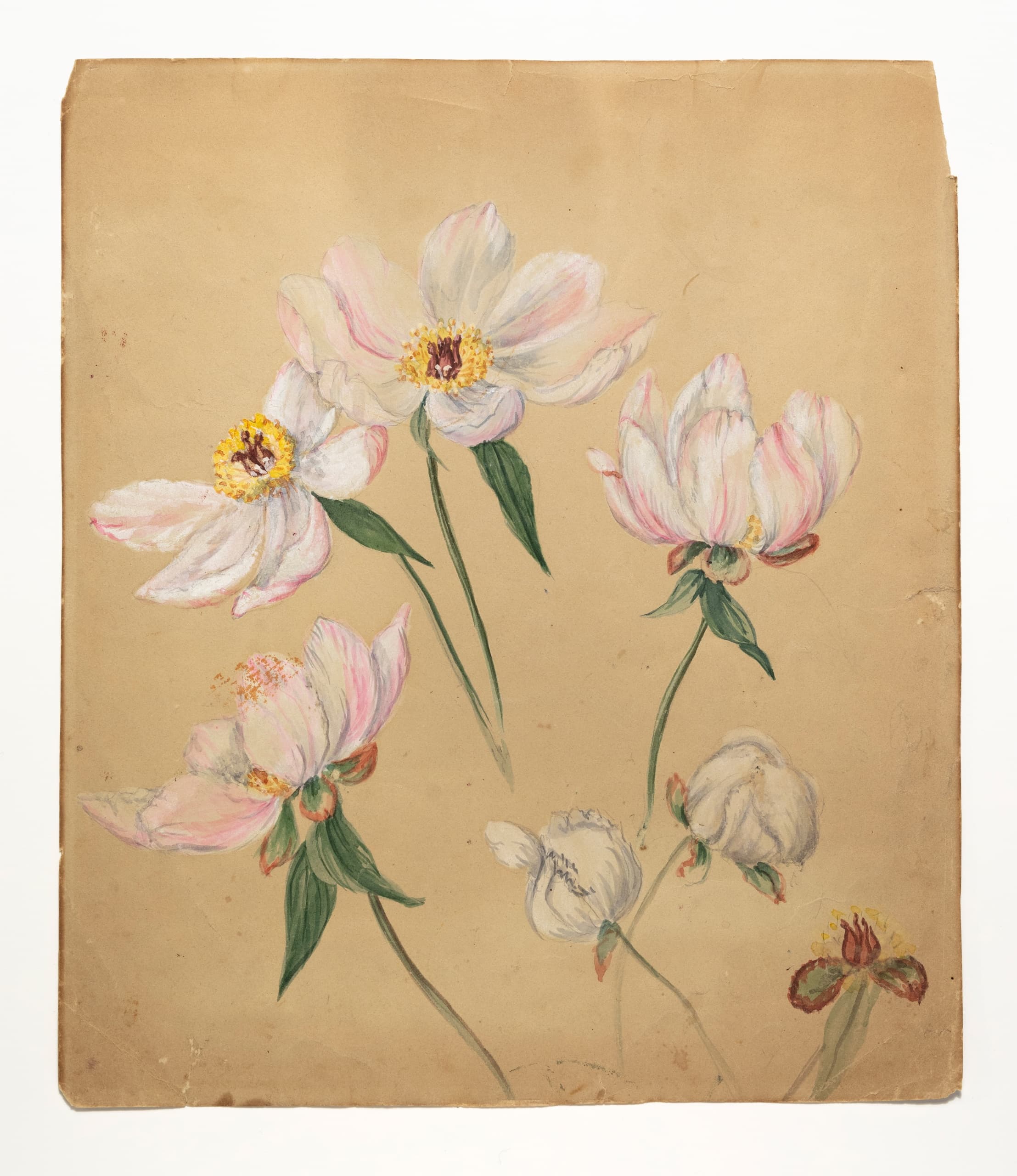 Art and Nature at Thomas Cole National Historic Site