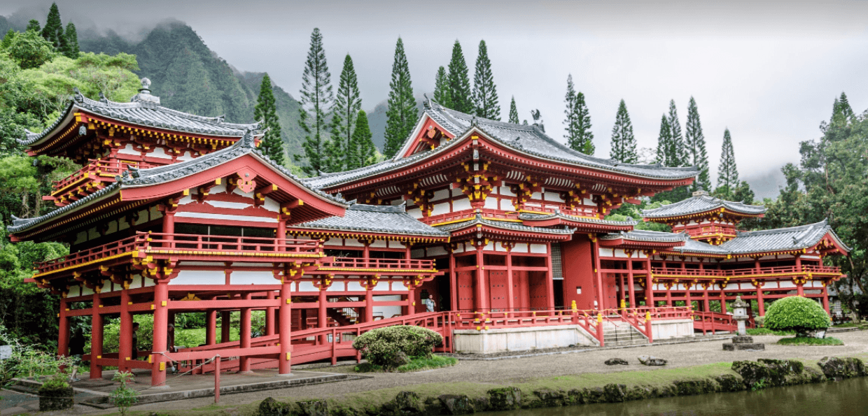 Hidden Gems of Oahu: Byodo In & Turtle Spotting Tour