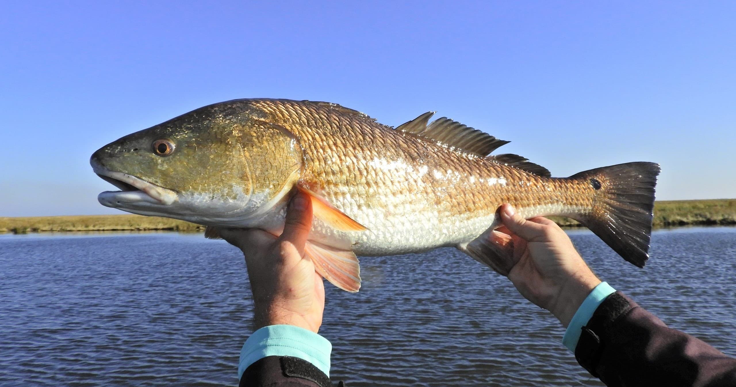 Salty Fresh Fishing Charters team