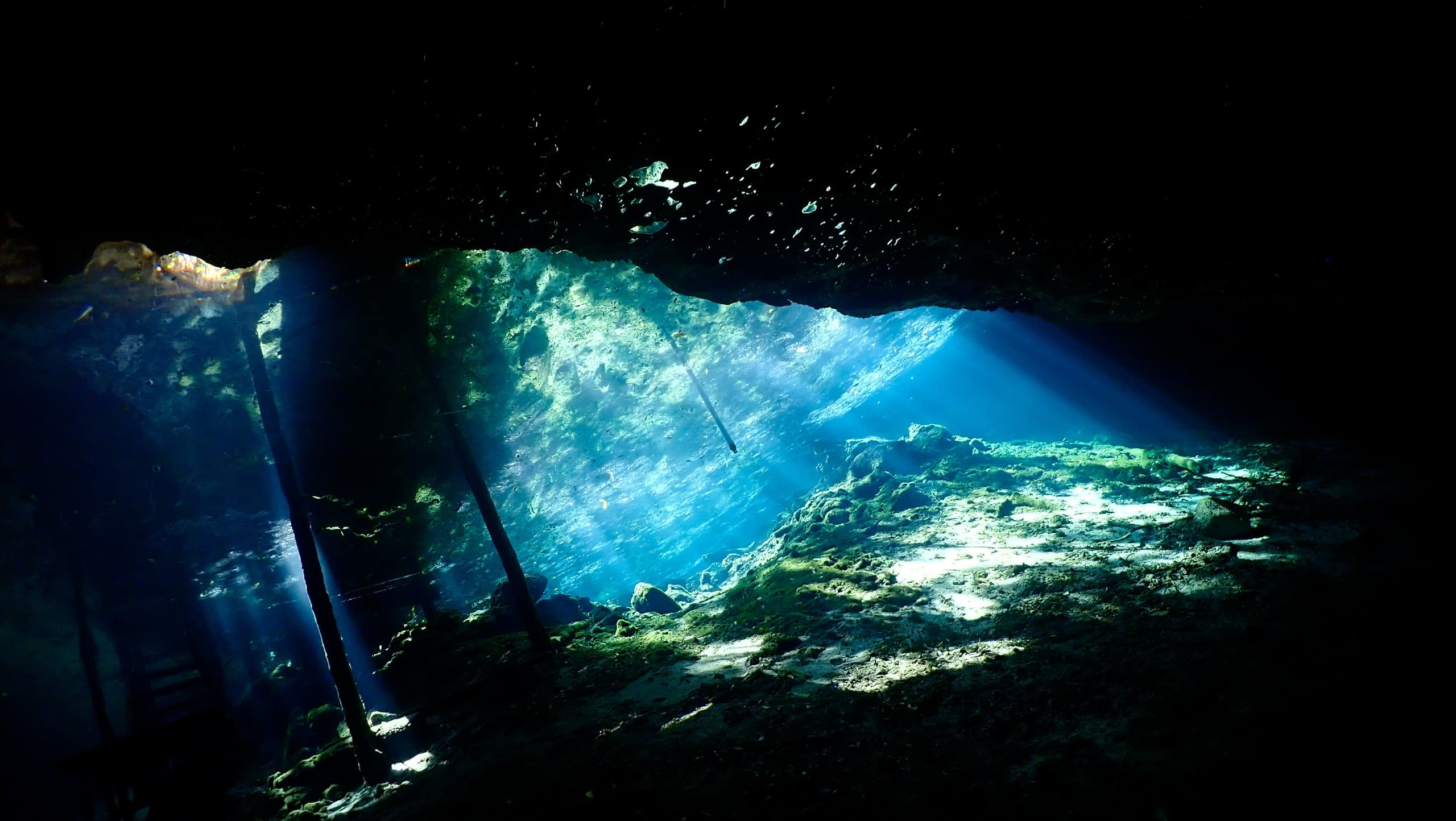 Tajma Ha & Chikin Ha: Two-Dive Cenote Adventure from Tulum