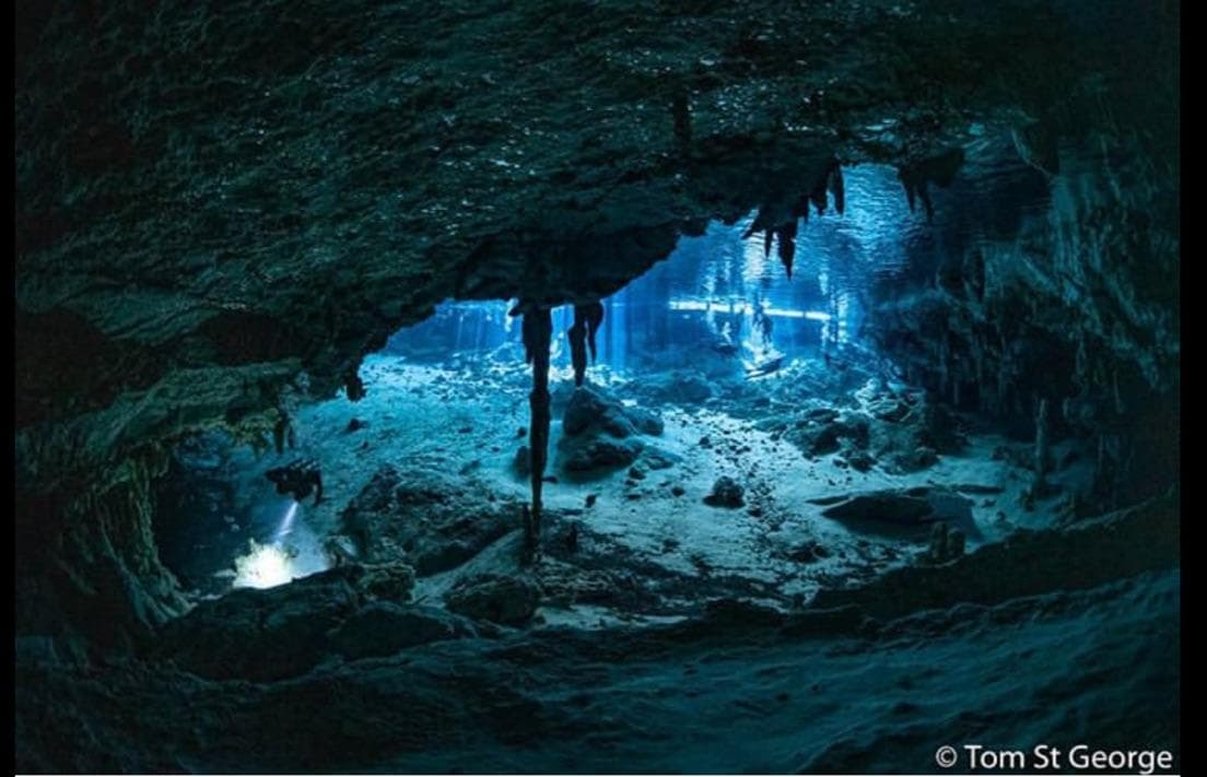 Cenote Dos Ojos Diving with Deep Life in Cancún
