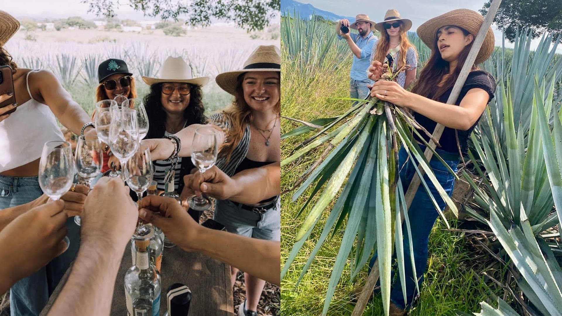 Sunrise and Spirits: Tequila Country Overnight Experience from Puerto Vallarta