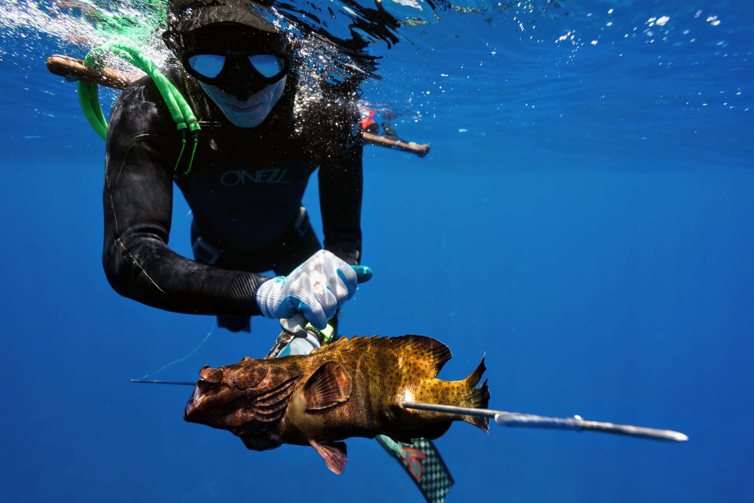 Spearfishing Adventure in Kailua-Kona, Hawaii