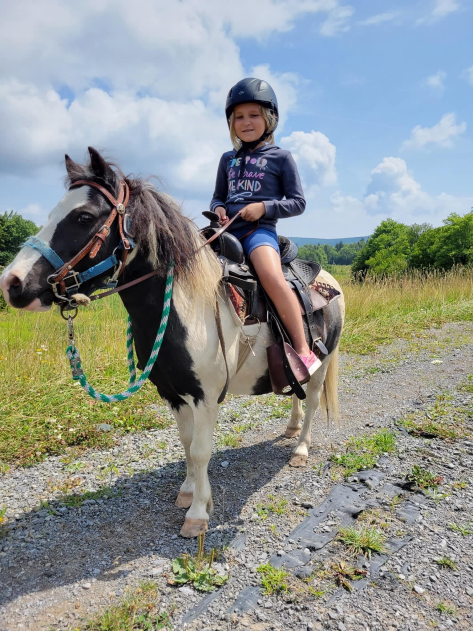 Half Hour Trail Ride at Snowshoe Mountain: Panoramic Views and Wildlife on Historic Mountain Trails