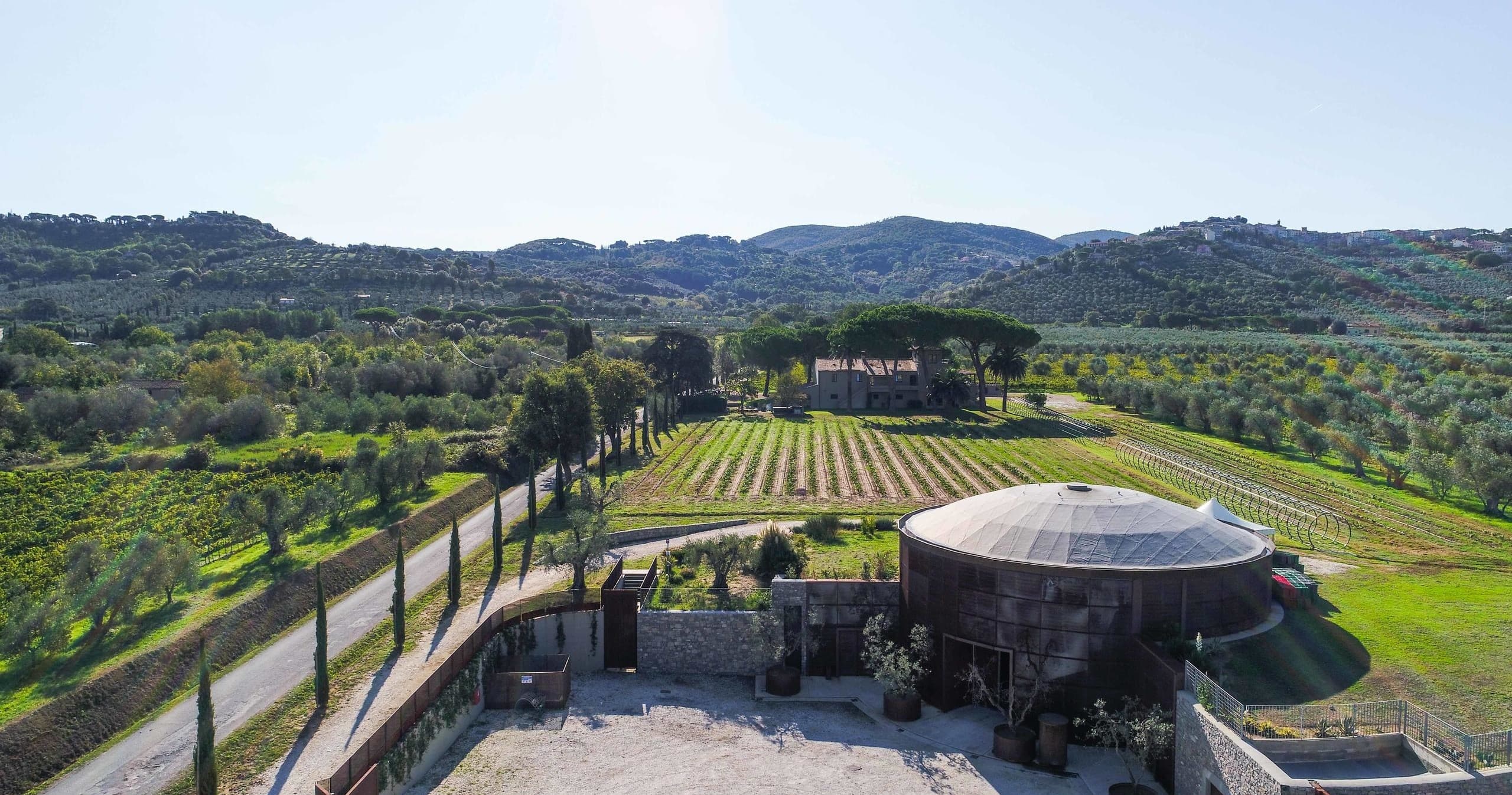 Bolgheri Wine Tour by Keys of Italy: Tuscany Uncorked