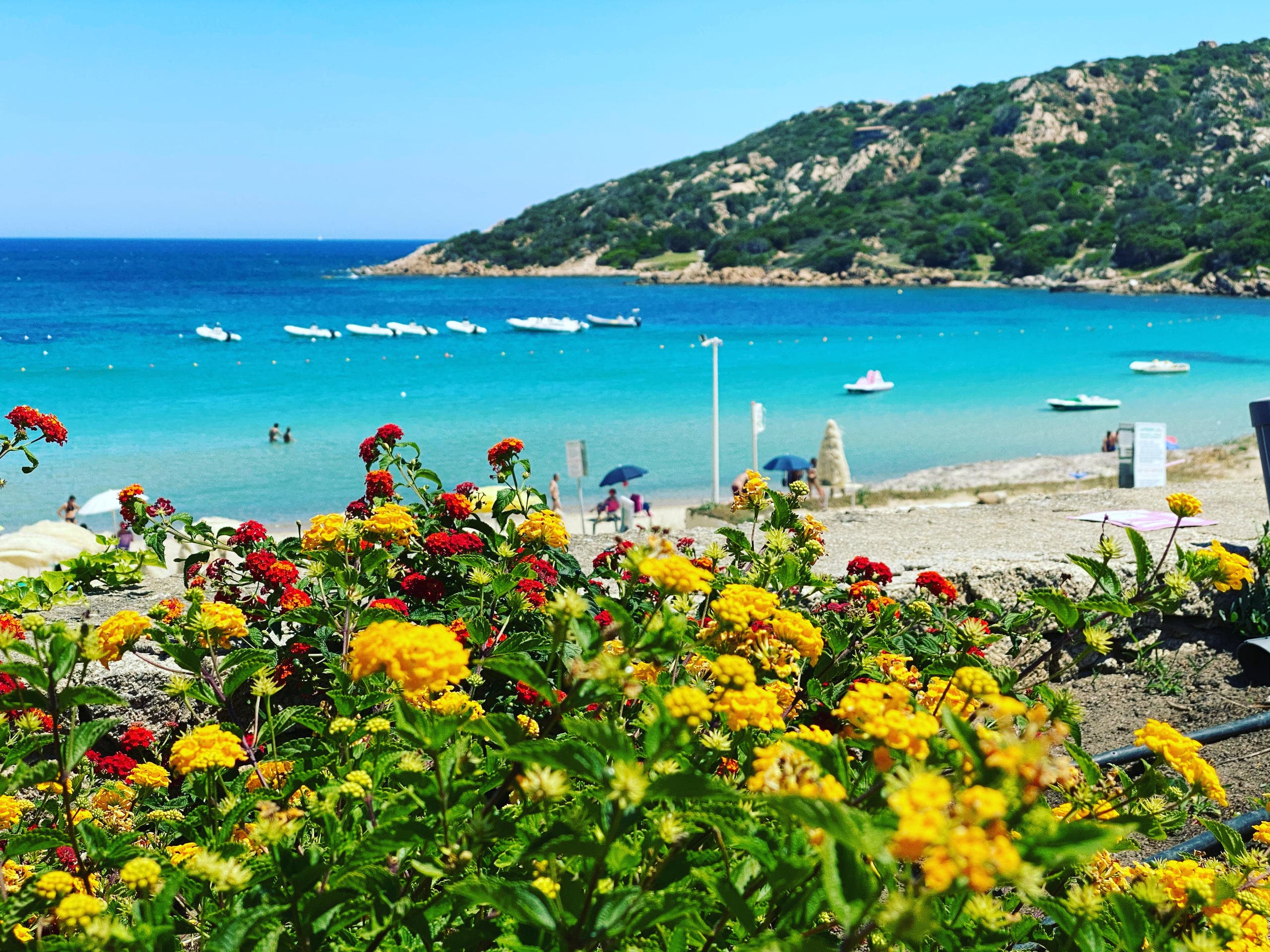 Explore Sardinia’s Costa Smeralda: A Scenic 3.5-Hour Minivan Adventure