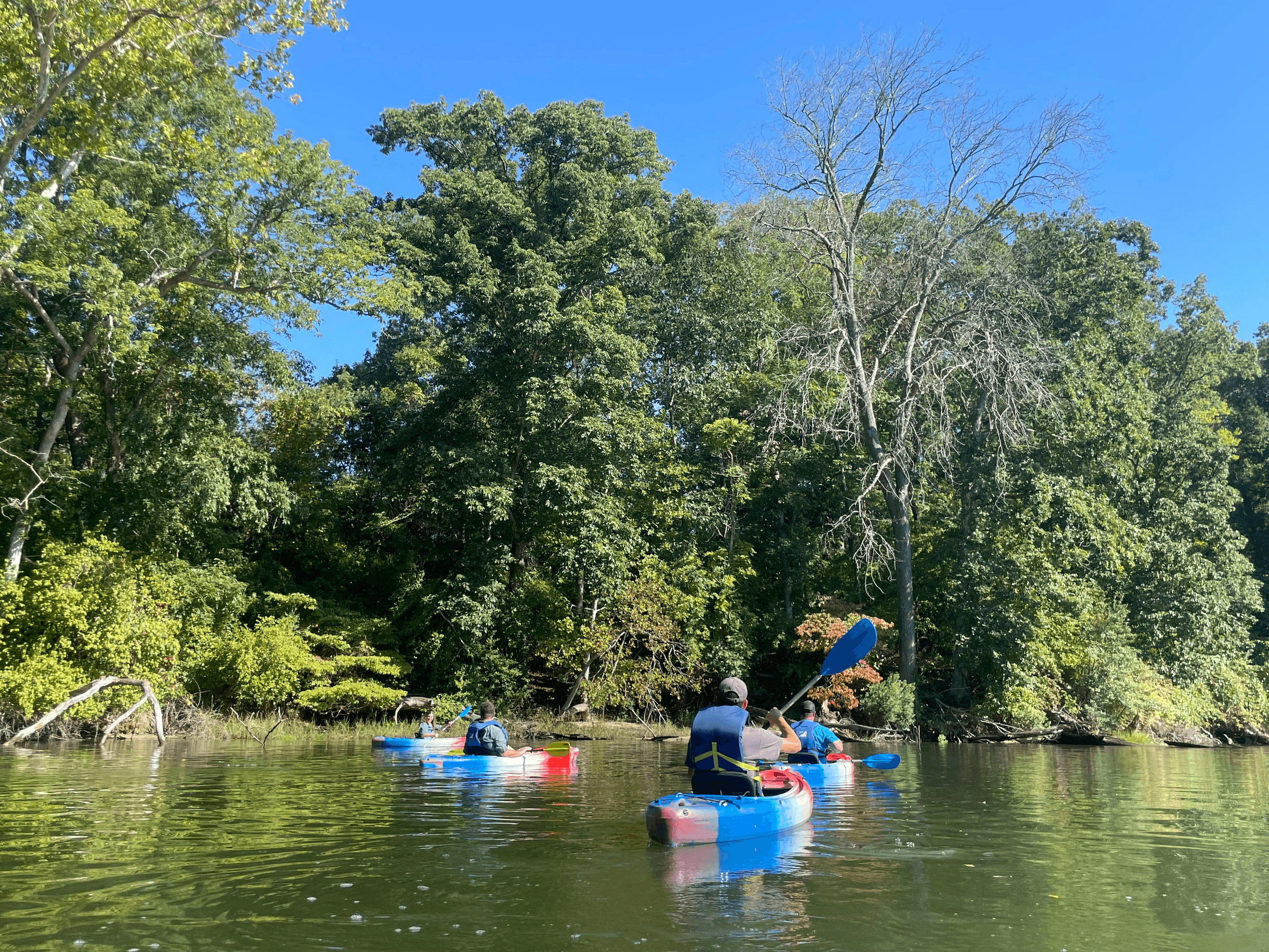 Special Event Paddles: Community Kayak Tours in Hollywood, Maryland photo 1