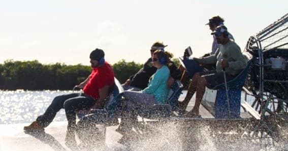 Dolphins, Mangroves, and Shell Mounds: 90 Minutes on a Homosassa Airboat