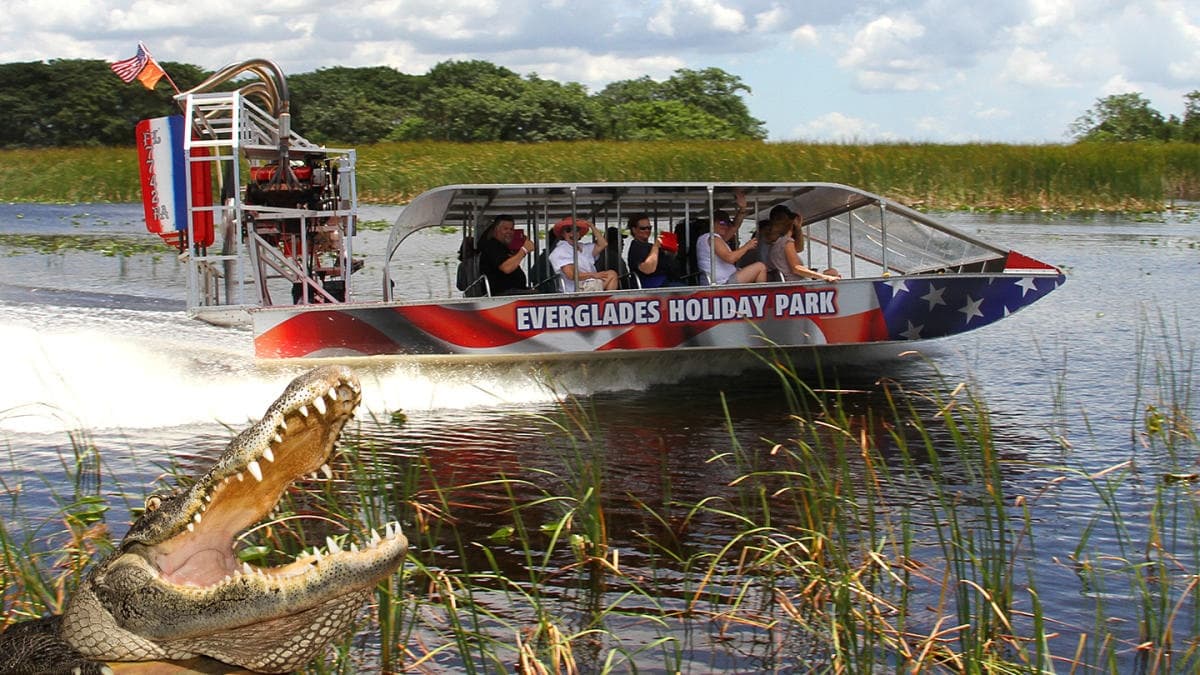 Thrilling Everglades Airboat Tours with Miami Paradise Tours