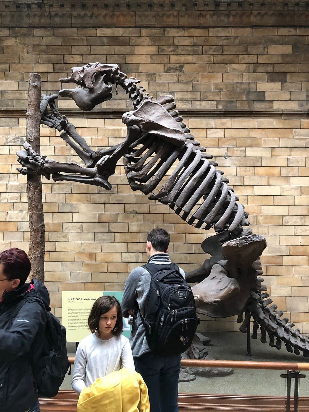 Inside Hope and Sophie: Private Guided Tour of London’s Natural History Museum photo 2