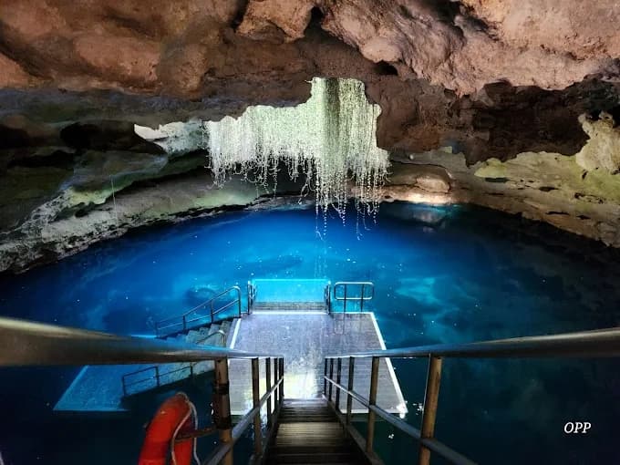 Devil's Den Prehistoric Spring: Cave Diving the Crystal Blue of Williston, Florida