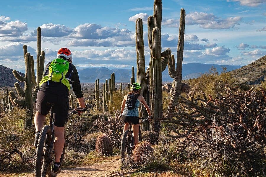 Mountain Biking in the Sonoran Desert with Arizona Adventure Guides