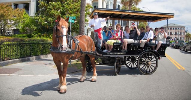 Front view horse-drawn carriage with tourists on Charleston street