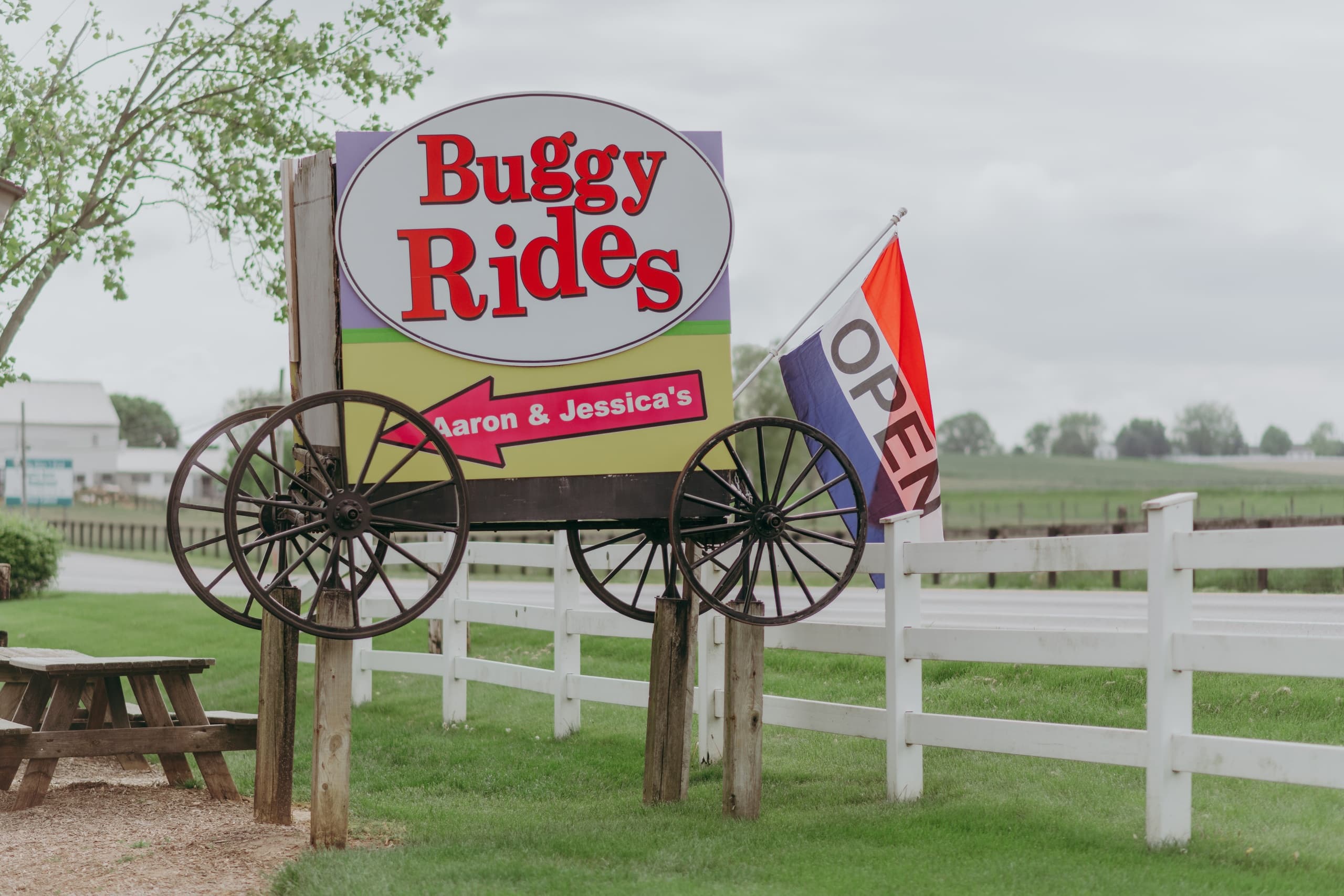 Land Adventures at Aaron & Jessica's Buggy Rides | Unique Off-Road Experience