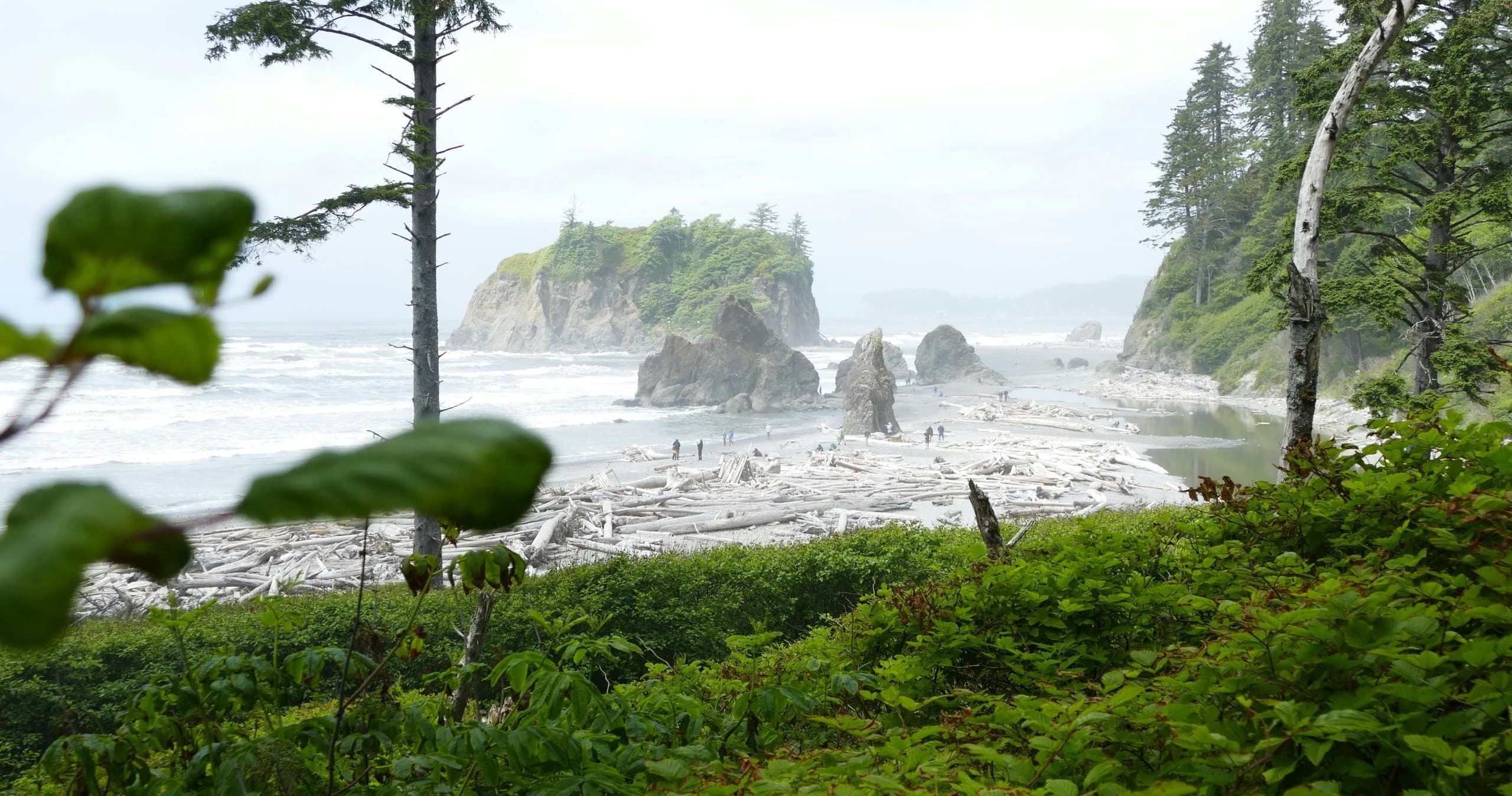 Two-Day Private Tour and Hike in Olympic National Park: Custom Naturalist-Led Adventures
