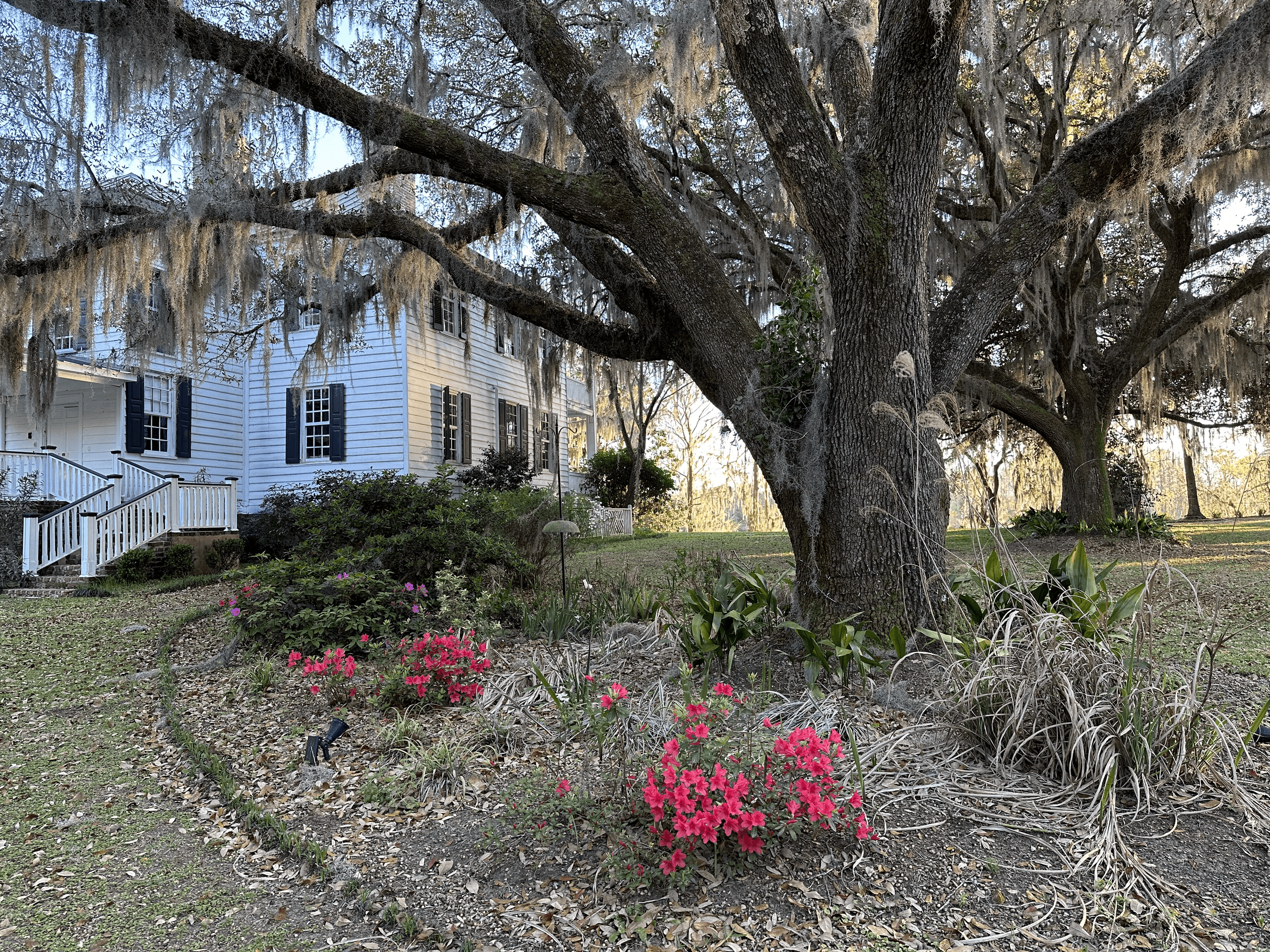Hopsewee Plantation fleet