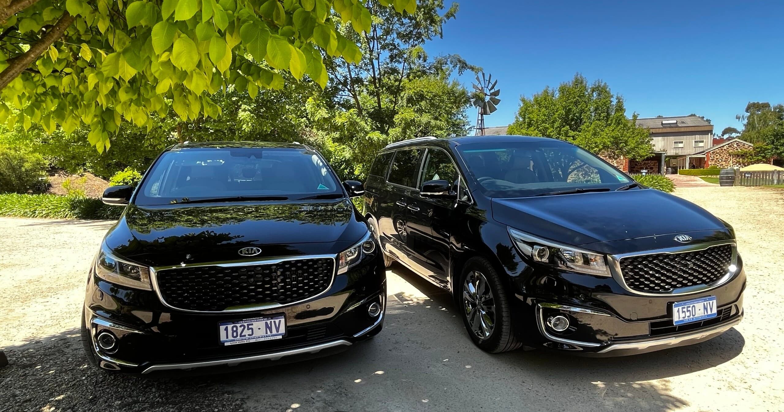 Land-adventures: Barossa Shared Winery Tour by Experience SA Wine Tours