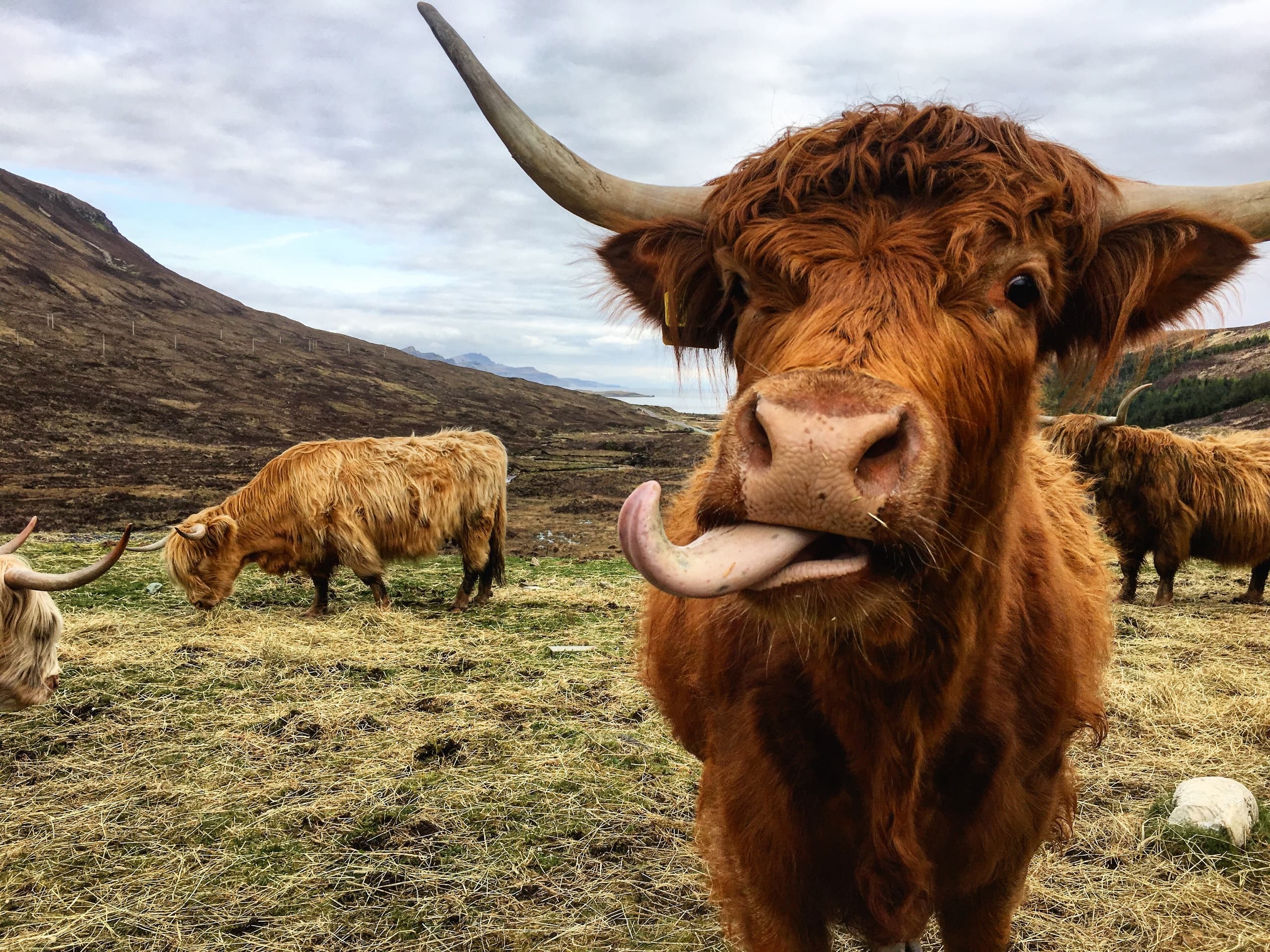 Outdoor Adventures with Highland Experience Tours in Scotland