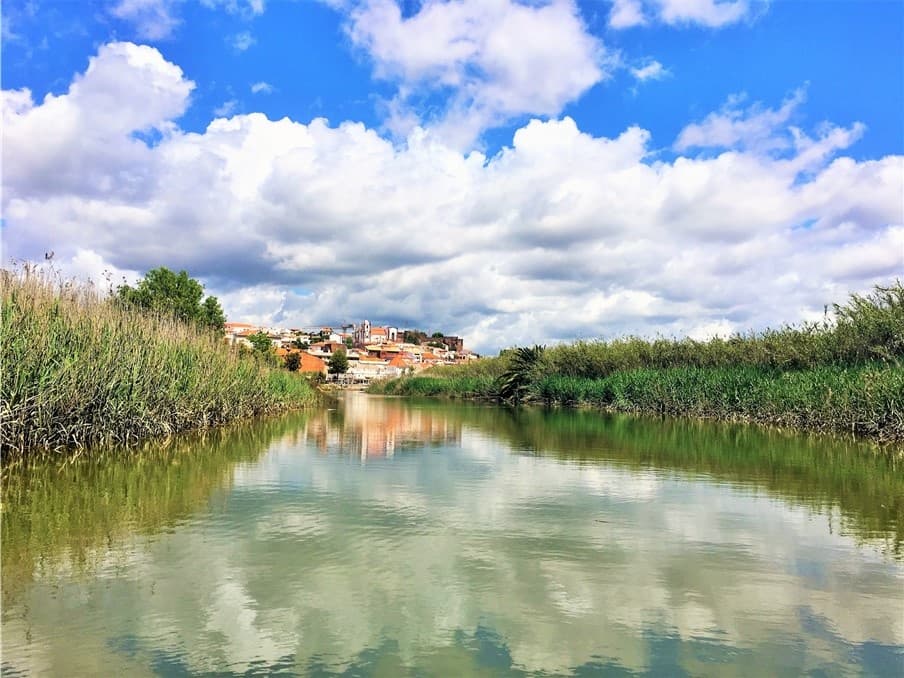 River estuary landscape for tranquil boat cruises