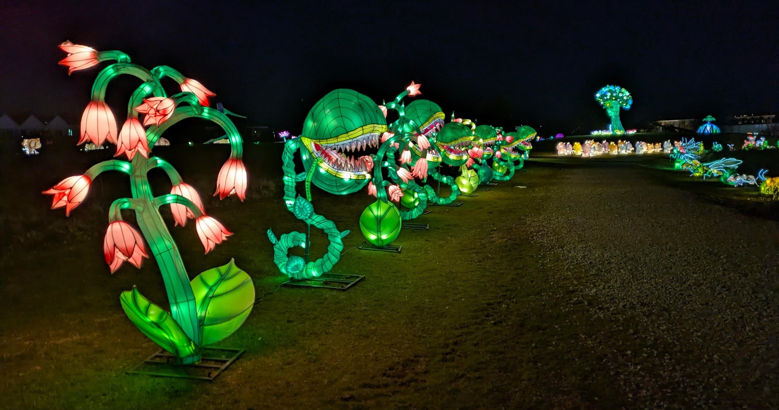 SeaLight Festival Train: Nighttime Art Ride from Grand Junction Depot to Sculpture Fields photo 1