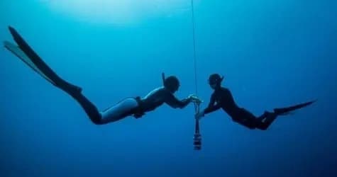 Cebu Freediving Leadership Workshop: NAUI Instructor Training at Paradive Resort