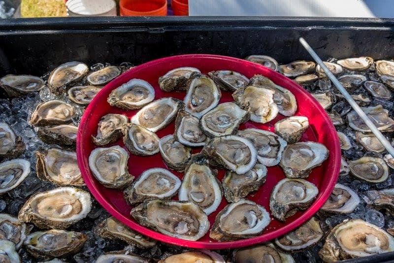 Shucked oysters on ice at outdoor seafood market stall