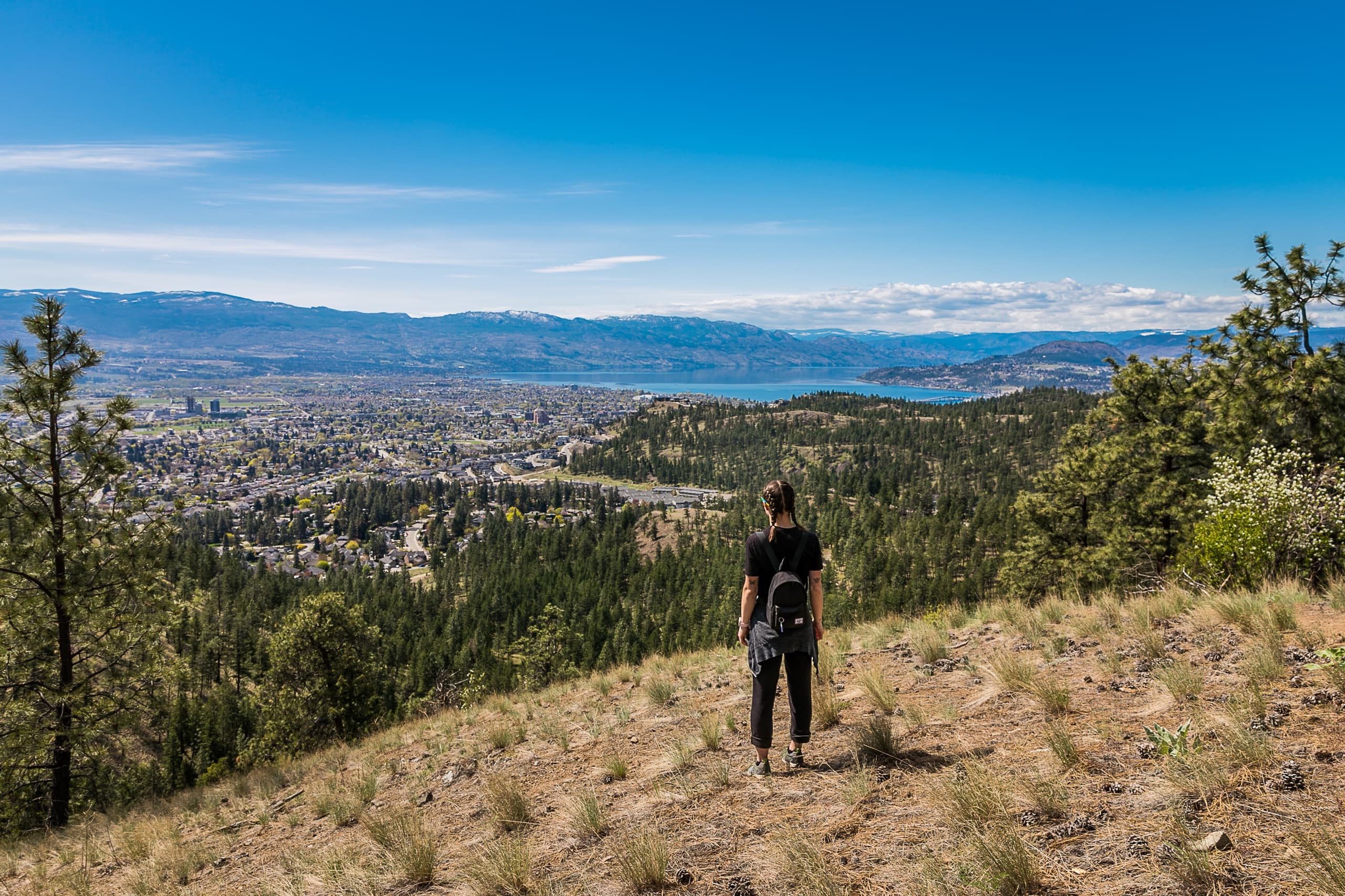 Knox Mountain Hiking Tour: Okanagan Lake Views & Wildflowers in Kelowna photo 2