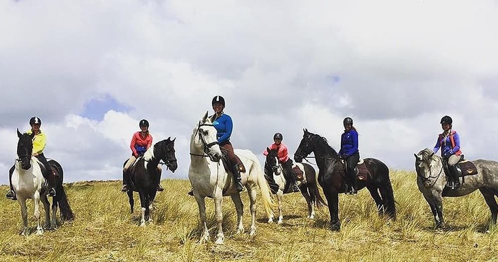 Horseback Riding Adventure with Huifkarbedrijf Terpstra on Terschelling