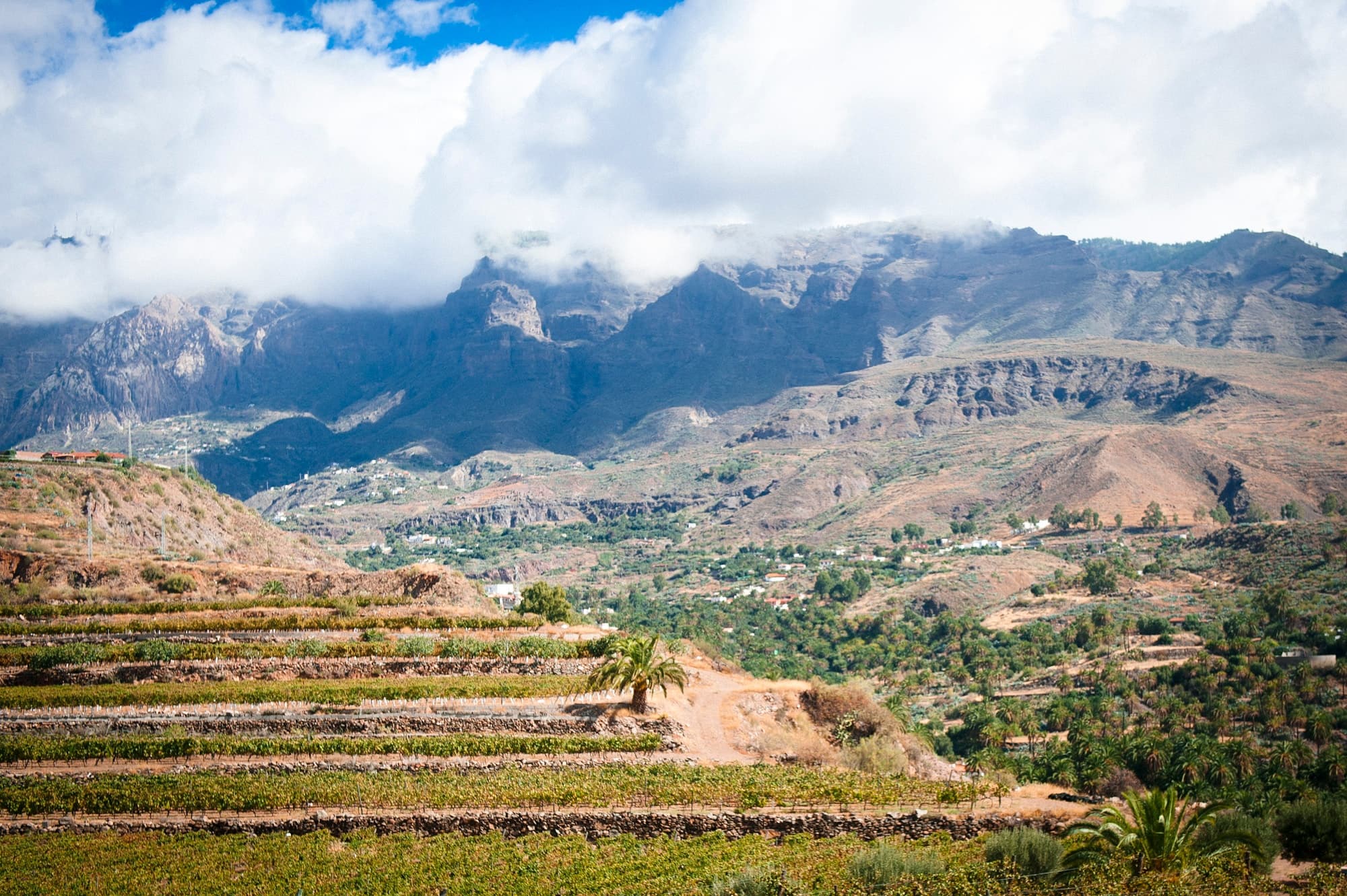 Terraced mountain vineyards overlooking valley and peaks