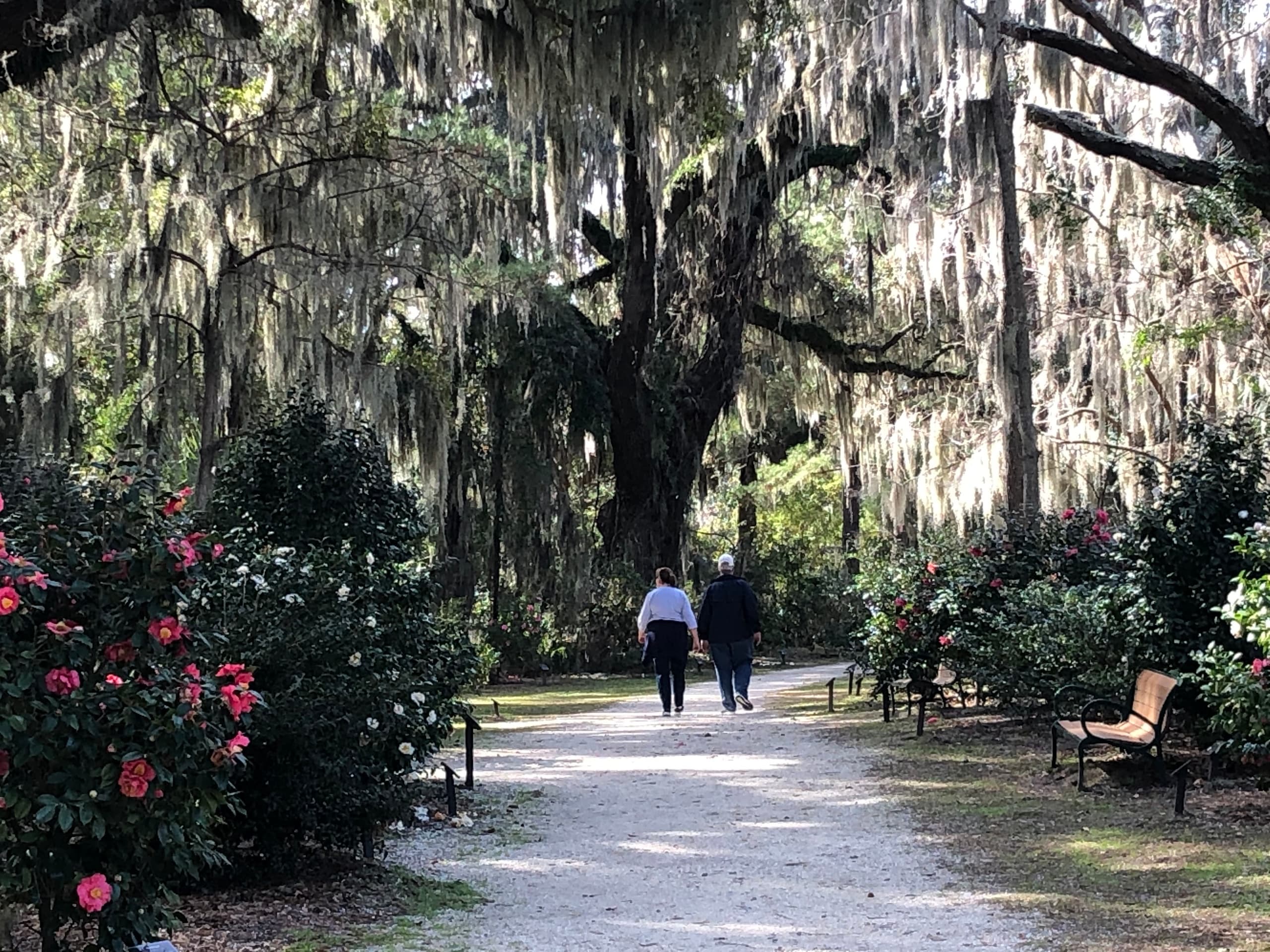 Guided Honey Horn Tour at Coastal Discovery Museum