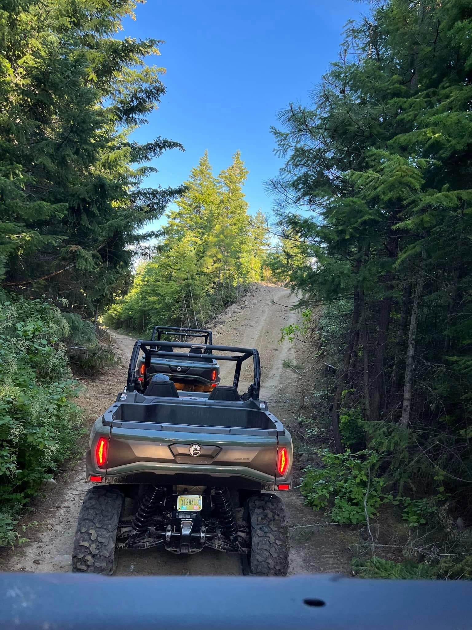 UTV on forest trail rear view driving up dirt road, pine woods