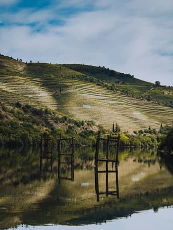 Terraced vineyard hillside reflected in calm river, scenic vista
