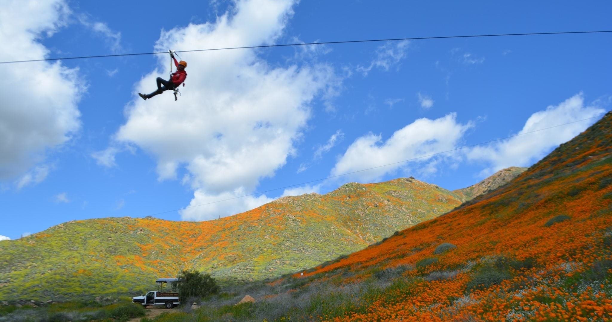 Zipliner soaring over poppy-covered canyon valley scenic vista